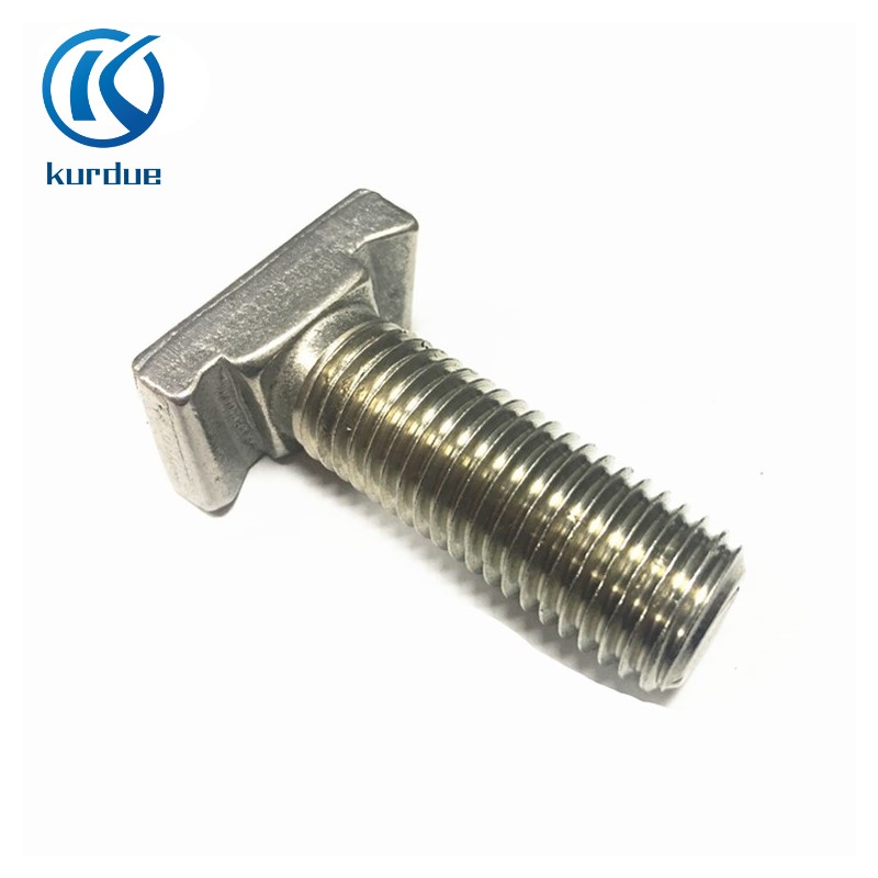 Stainless steel T head bolts SUS 304 316 A2 A4