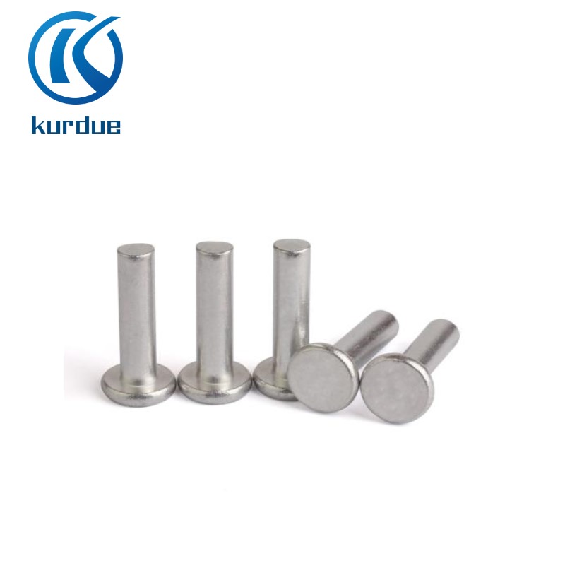 Flat Head Rivets