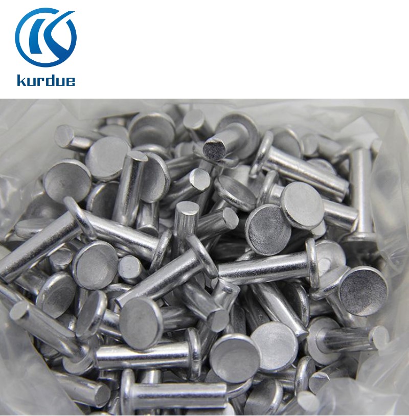Flat Head Rivets